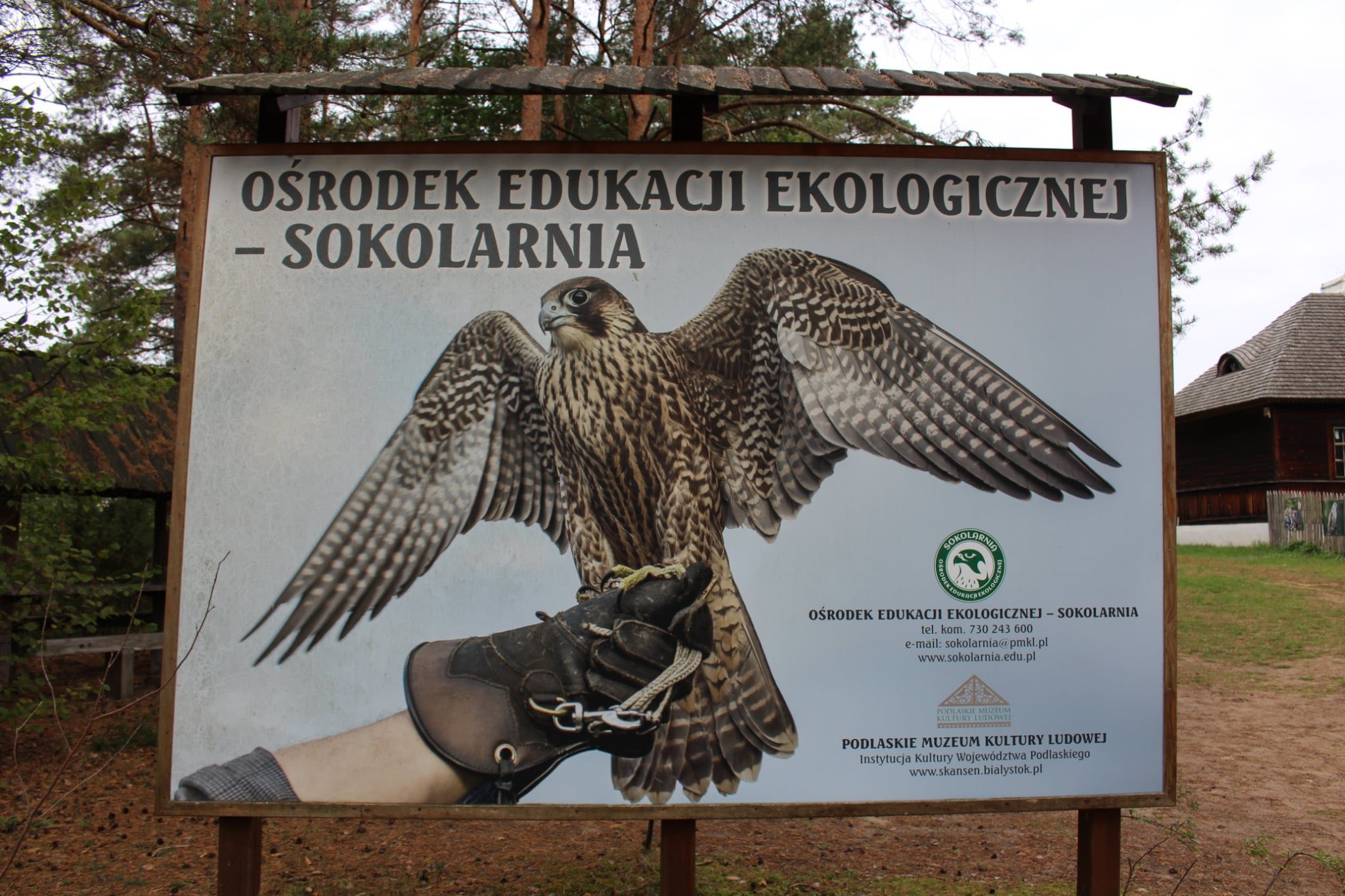 Dodatkowe zdjęcie