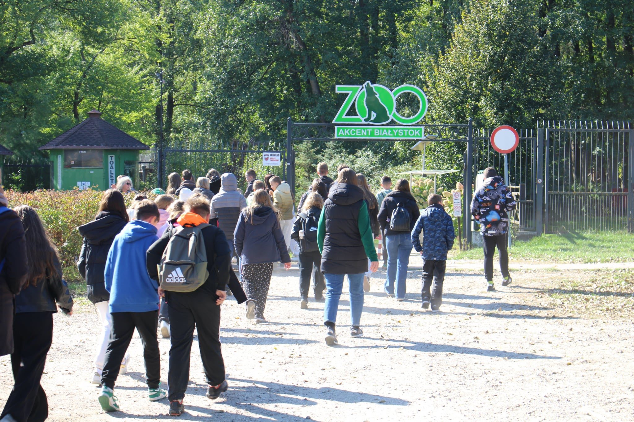 Dodatkowe zdjęcie