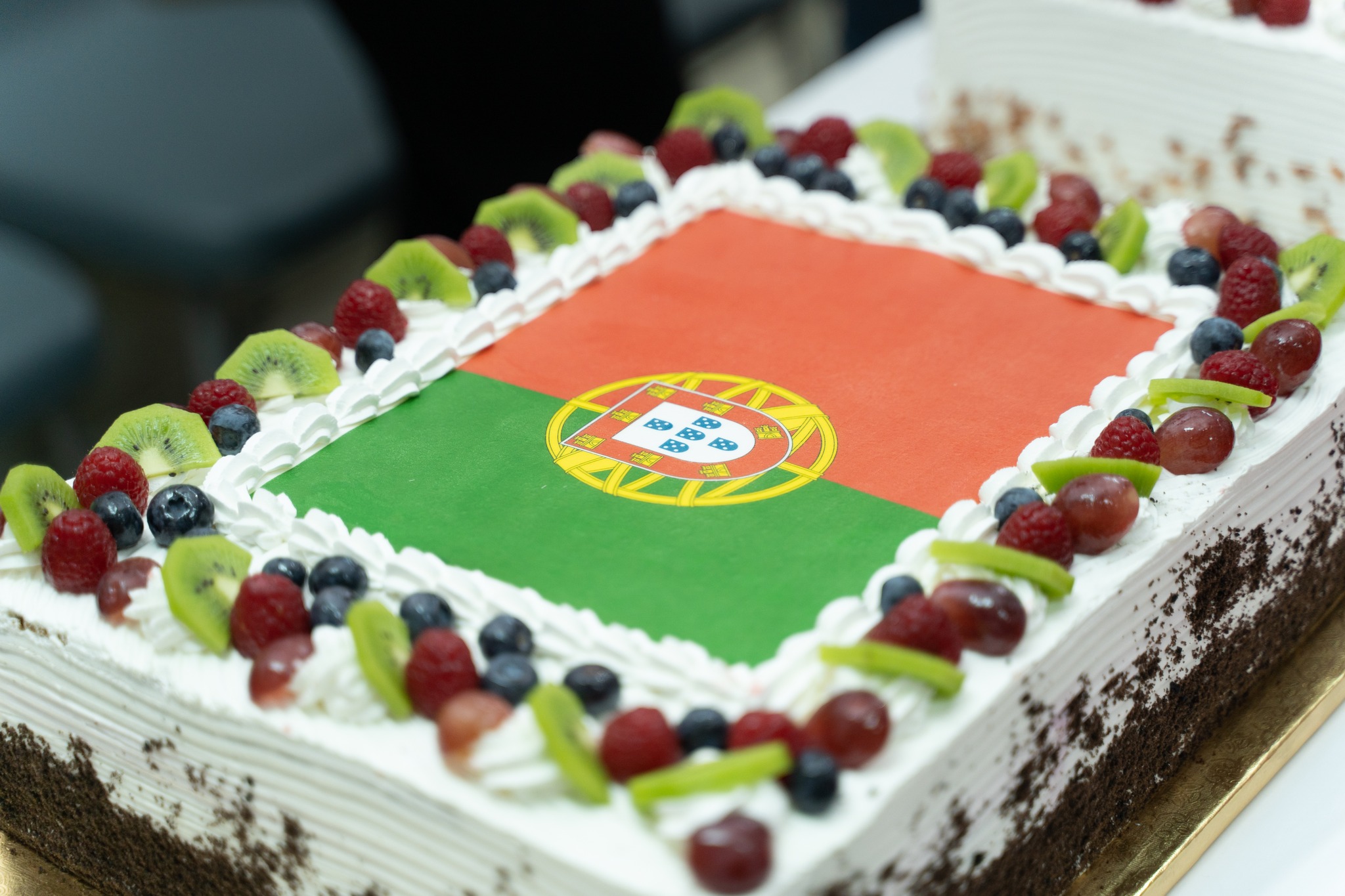 Praktyki zawodowe w Portugalii 2022/2023